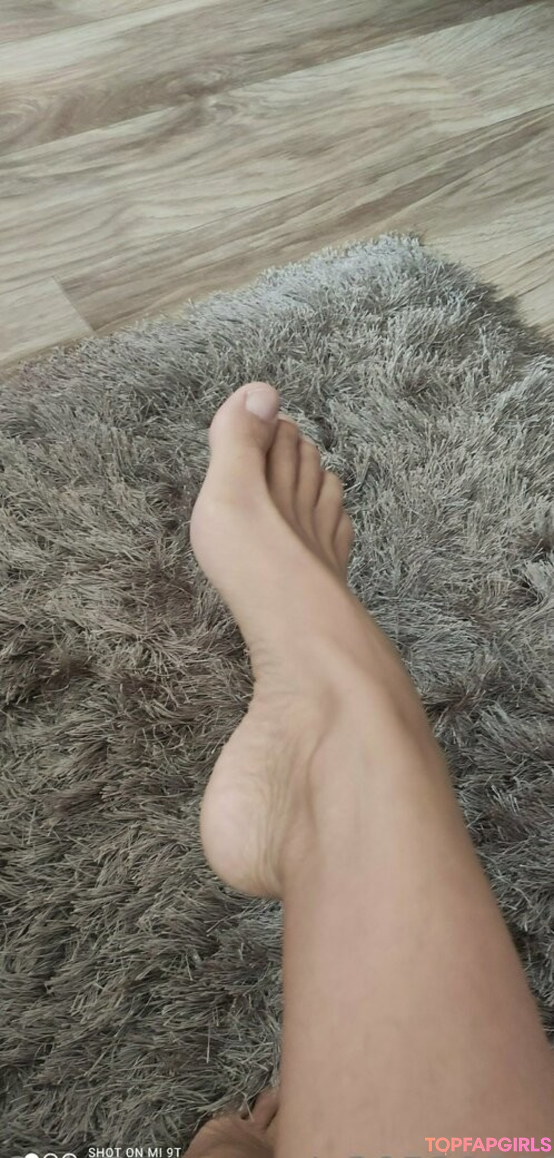 nykolerotic star hd archive