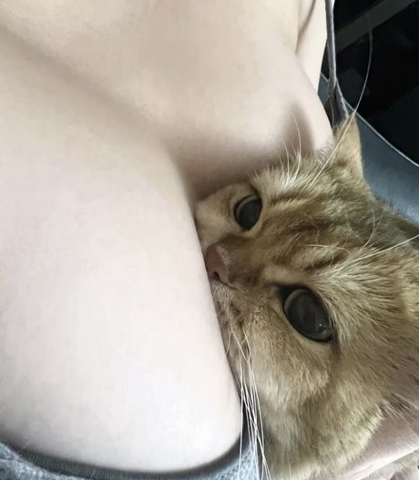 Takomayuyi pornstar pretty image