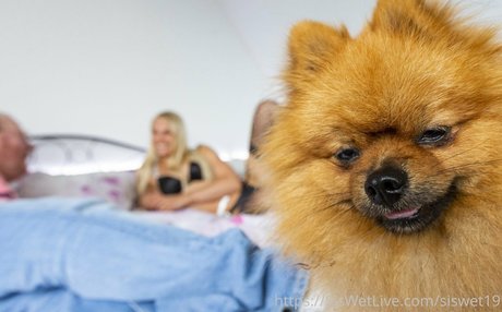 petite bbc onlyfans free porn pics