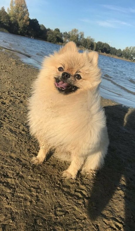 siswetlive perfect pornstar gallery