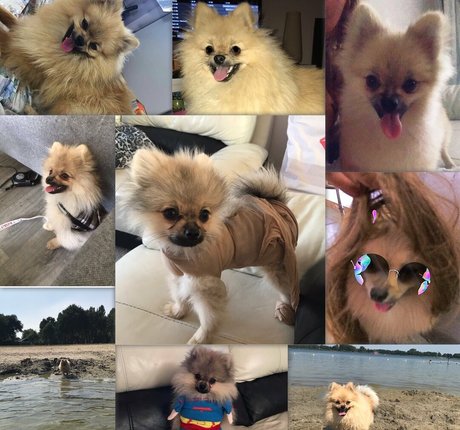 siswetlive nudes model photo