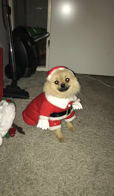 siswetlive perfect actress images