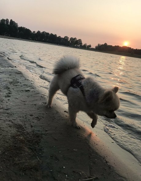 siswetlive pornstar adult photos