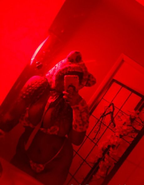 Xiouuu star art galleries