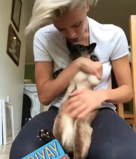 Wallis Day model pretty photo