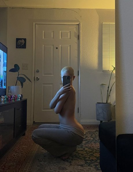 Daisy Delancey top profile image