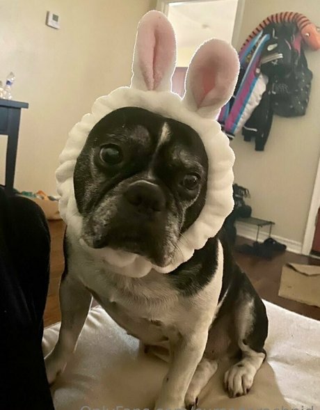 bodybuilder male onlyfans pornos images