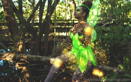 charliebhustlex star nudes img