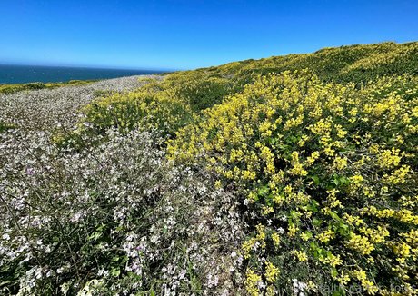 nerdy teen onlyfans nude images