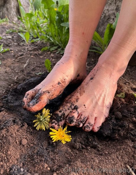 ai and0 porn star image