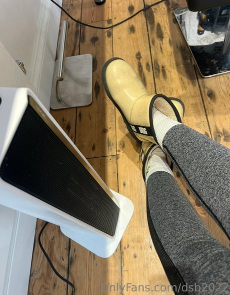 dsb2022 star best galleries