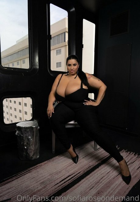 sofiaroseondemand star hot archive