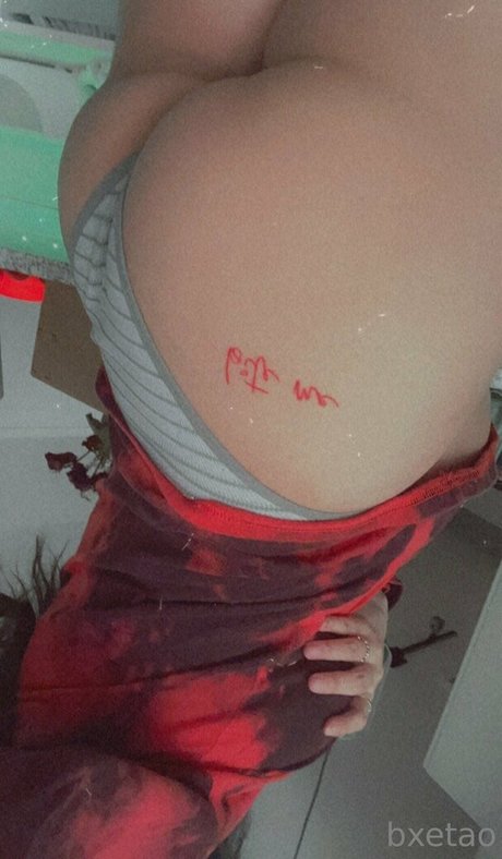 Bxetao model gallery