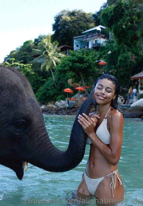 alishabright vip profile image