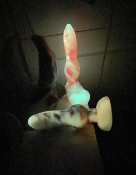 vinny bun star exclusive photo