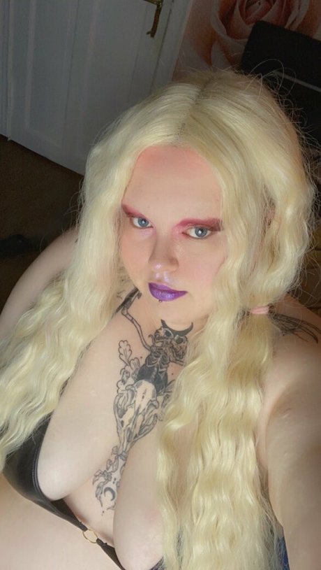 vinny bun star art photo