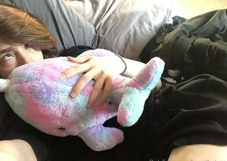 tepothetrap best model image