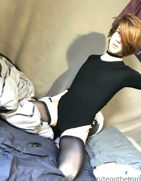 tepothetrap hd pornstar galleries