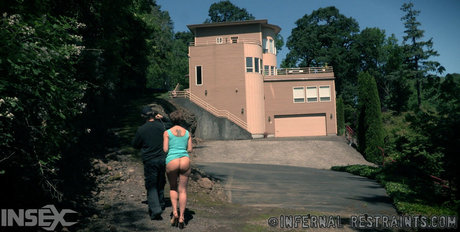 Dee Williams xxx star archive