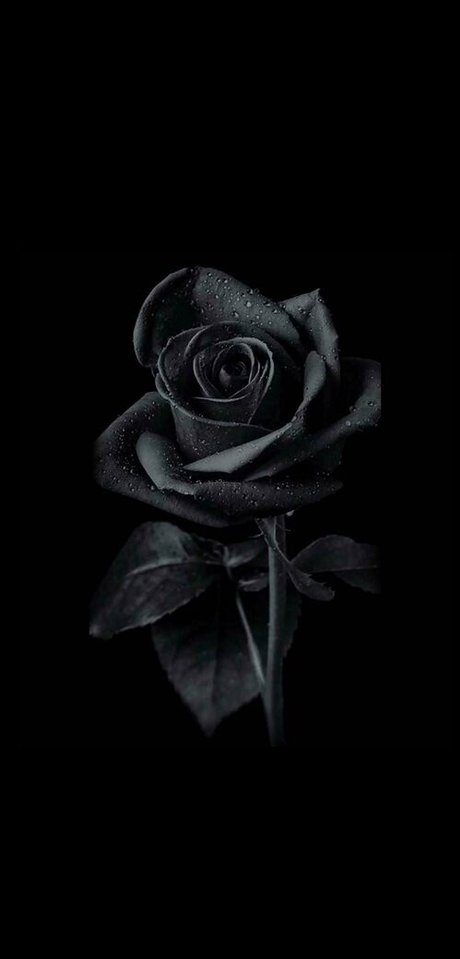 french anal onlyfans pornographic image