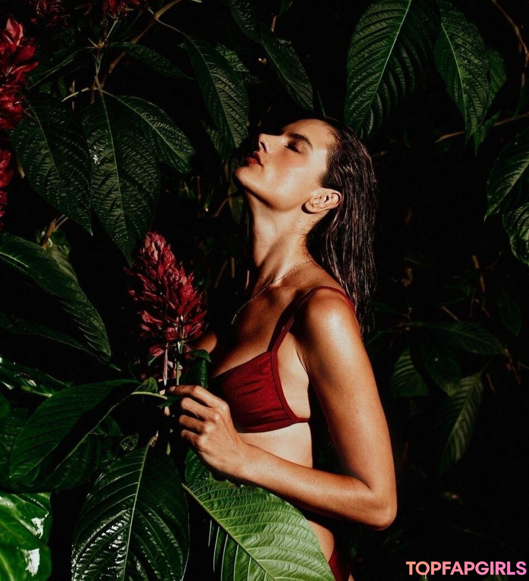Alessandra Ambrosio beautiful model image