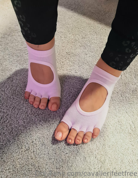 cavalierifeetfree high quality star gallery