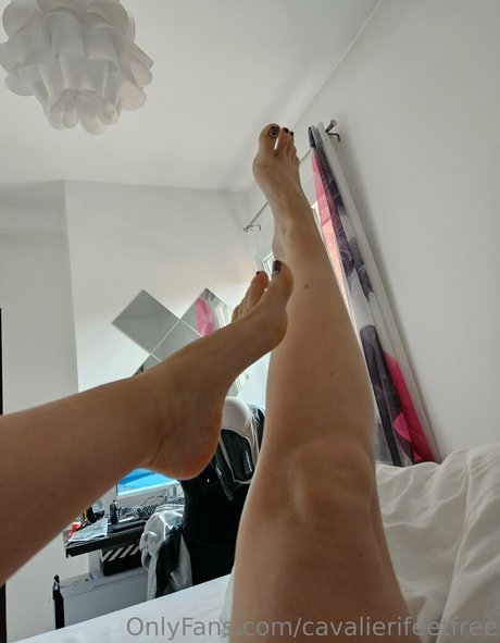 cavalierifeetfree pornstar hot archive