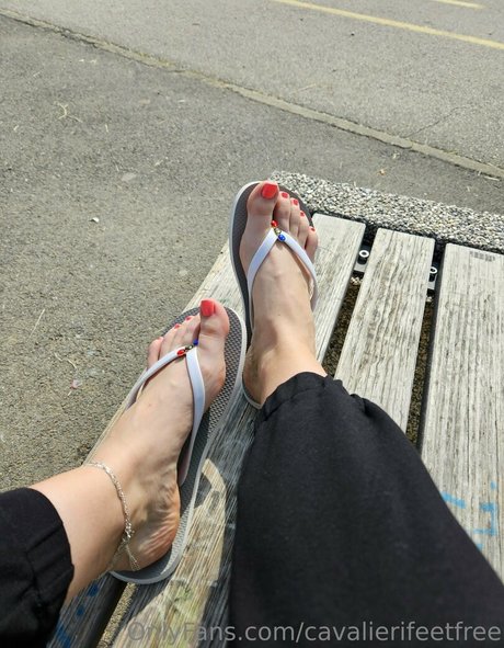 cavalierifeetfree model top archive