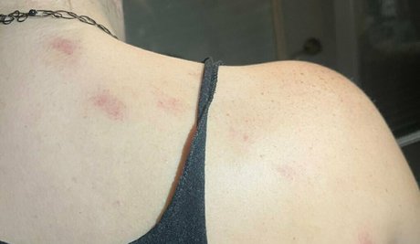 alicexfree star porn picture