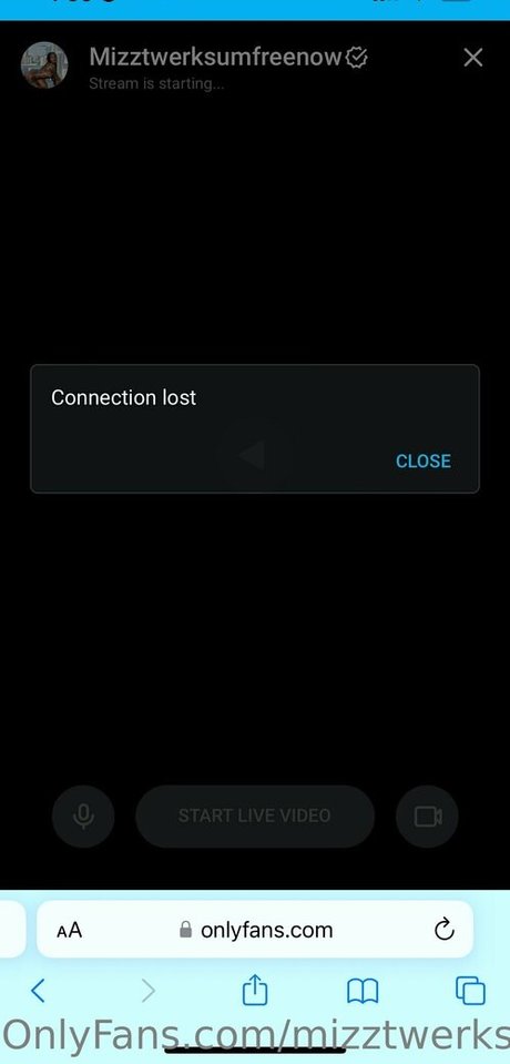 mizztwerksumfree xxx model photo