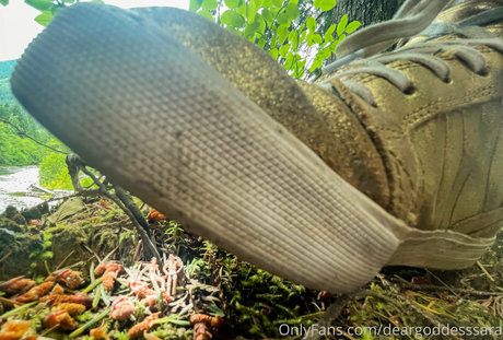 deargoddesssara pornstar exclusive image