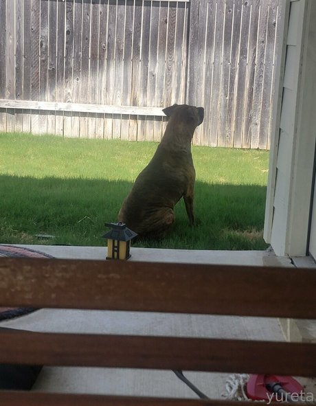 asian gangbang onlyfans erotic picture