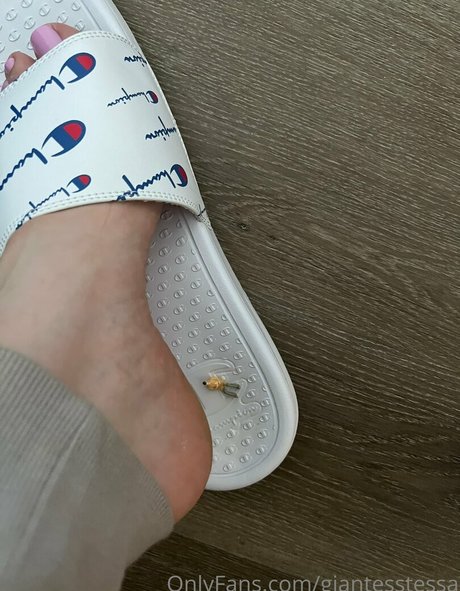 giantesstessa profile image