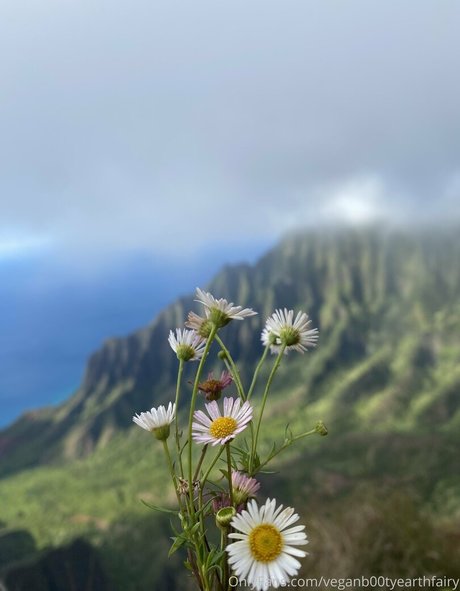 sexyearthfairymermaid pornstar top pictures