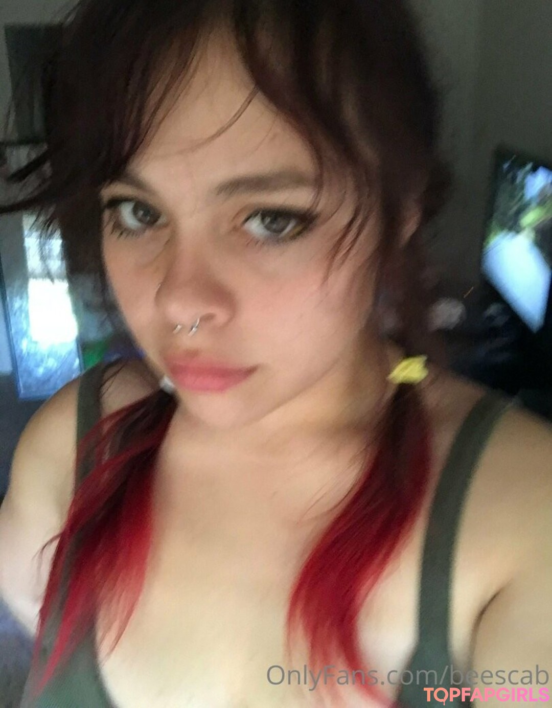 scabbee top profile image