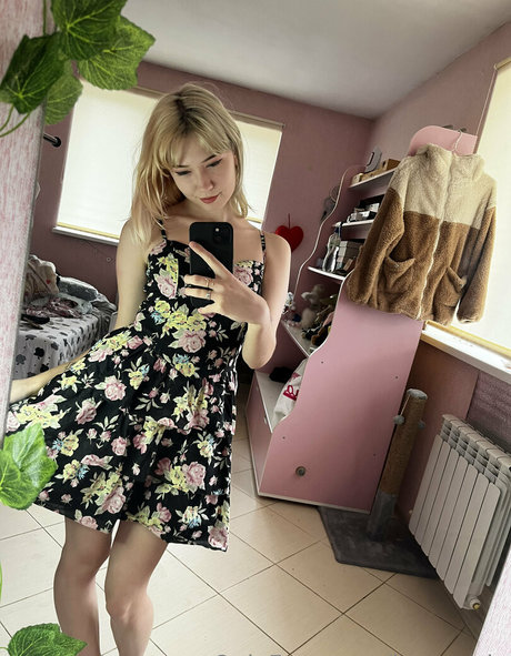 jenny vip star perfect archive