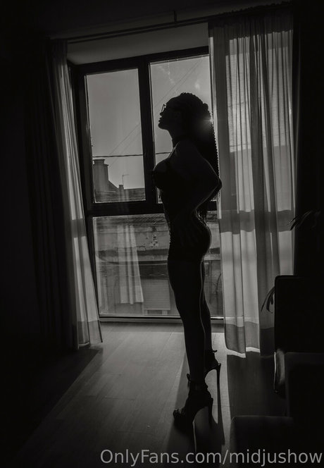 Midjushow profile image