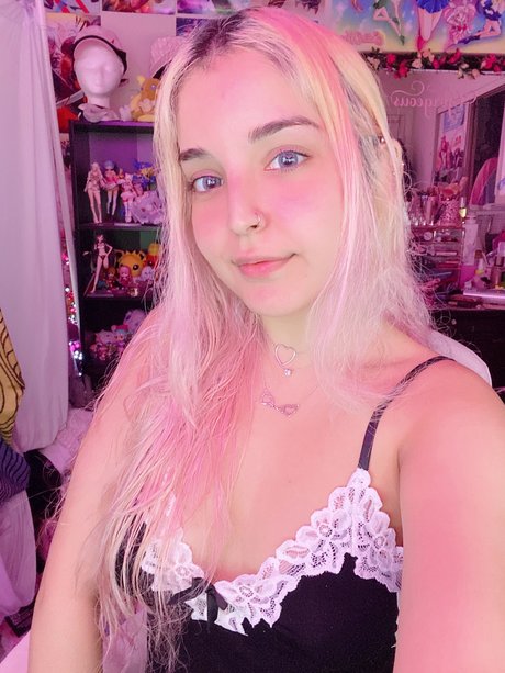 Kutie Kitten star free photos