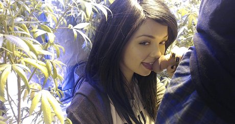 Soyacide nice star pictures