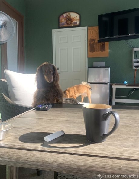 Soyacide sexy model image