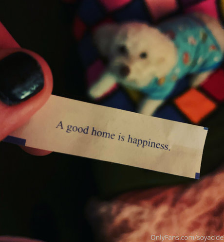 Soyacide adult actress pictures