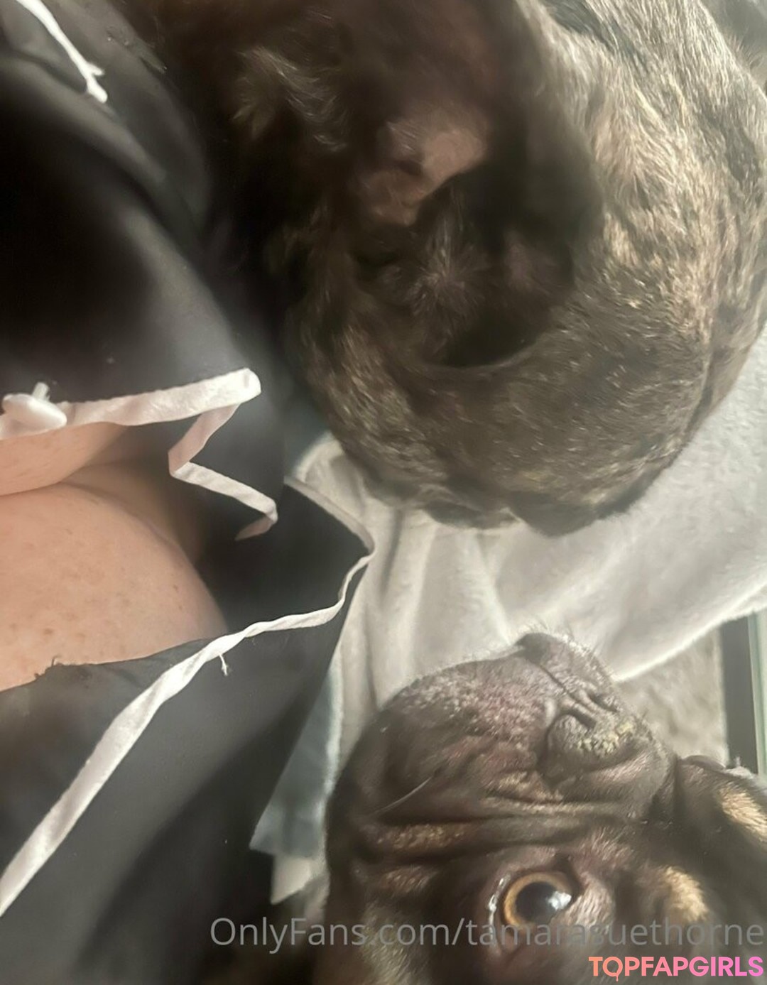 Tamarasuethorne pornstar exclusive galleries