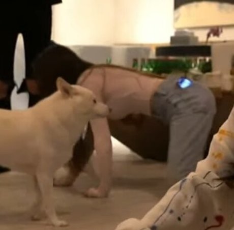 Tinakitten erotic pornstar archive