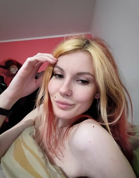 lida bond profile image