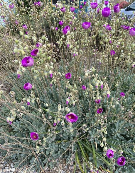 NakedBakers pornstar erotic photo