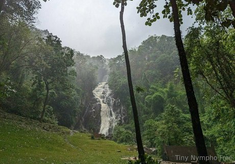 tiny nympho free erotic star gallery