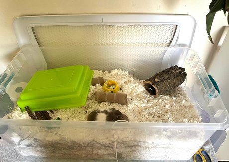 milf pawg onlyfans hot sexy gallery