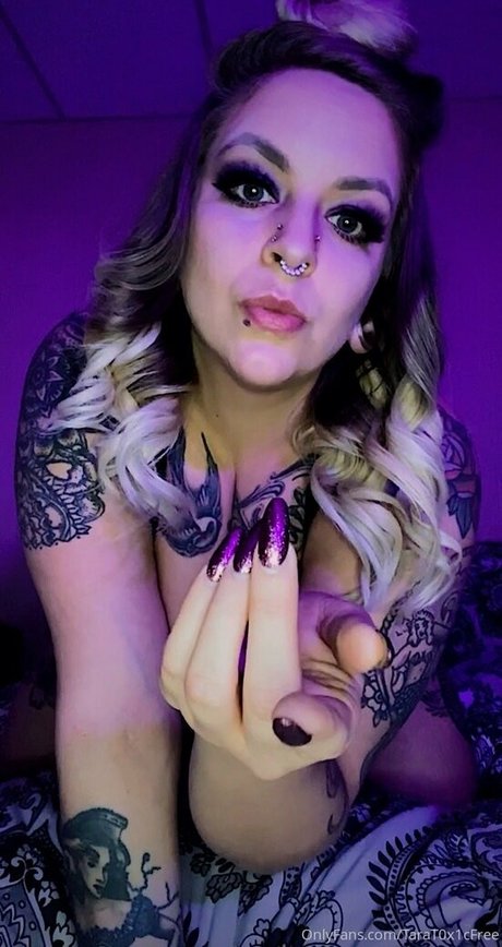 inkedshyvixen star pornographic galleries