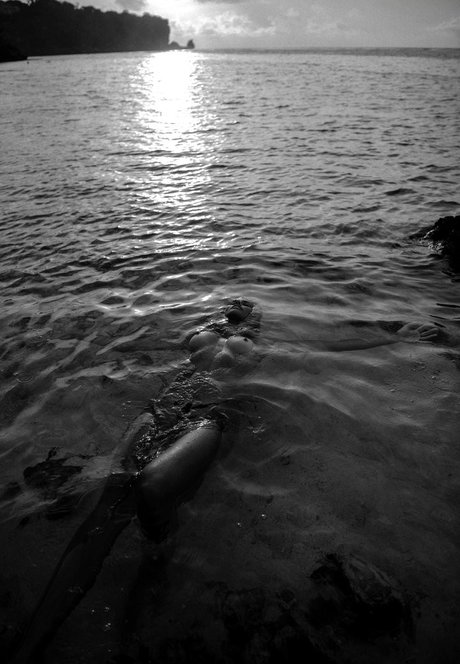 Natalie Jayne Roser best pornstar images