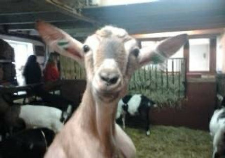 local onlyfans sexy nude galleries